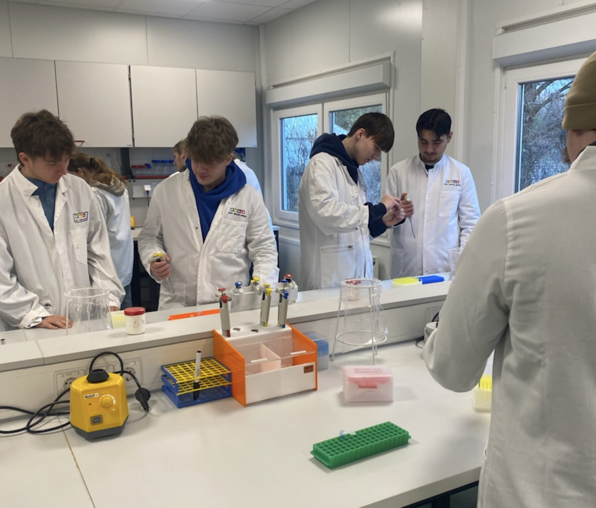 Theorie trifft Praxis im Lernlabor 